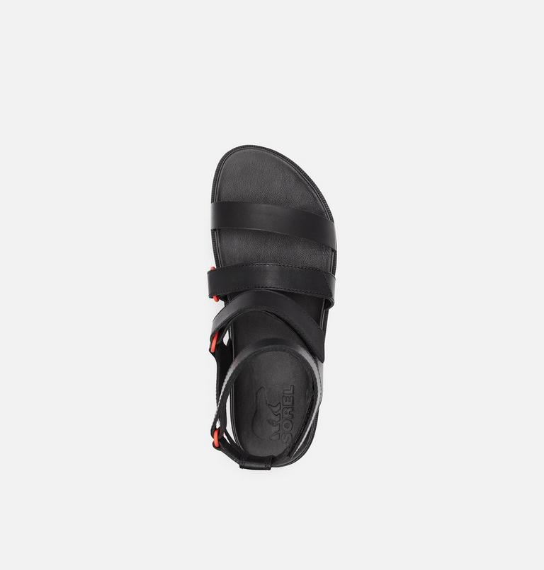 Women's Roaming Multi Strap Sandal, Color: Black, image 5
