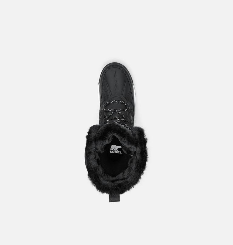 Women's WHITNEY II PLUS TALL LACE Waterproof Snow Boots, Color: Black, Sea Salt, image 5