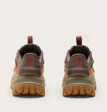 Basket Basse SOREL x Barbour Callsign Horizon GTX, Color: Alpine Tundra, Burro, image 3