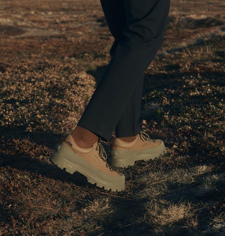 Men's Daystorm Nomad GTX Shoe, Color: Velvet Tan, Stone Green, image 12