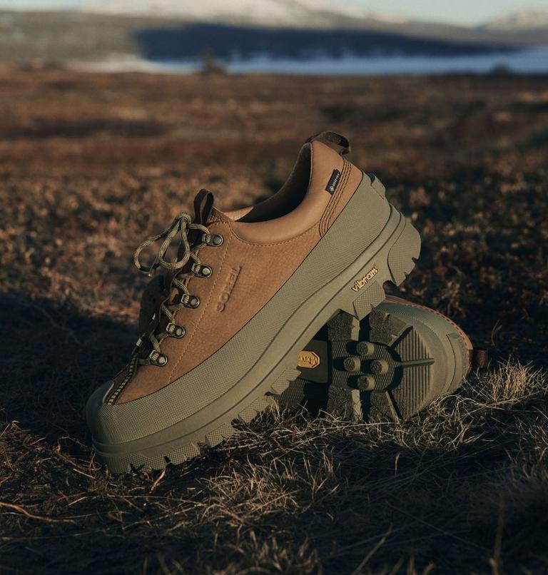 Men's Daystorm Nomad GTX Shoe, Color: Velvet Tan, Stone Green, image 13