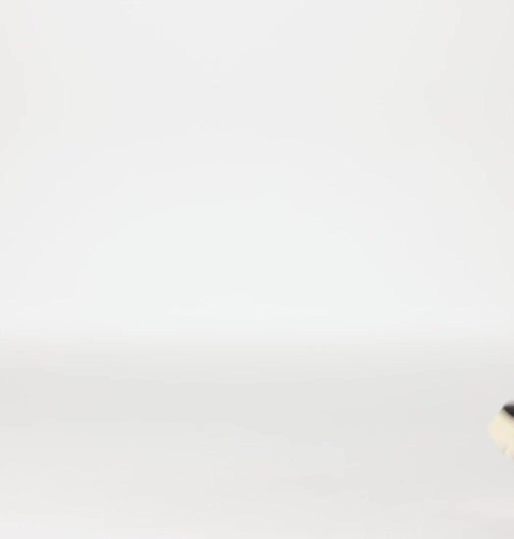CARIBOU Royal Bottes imperméables pour femme, Color: Black, Chalk